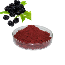 Hot Selling Blueberry Extract Powder Black berry Fruit Juice Powder